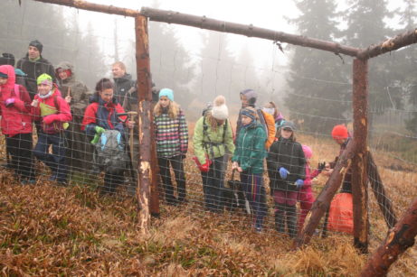 pomáháme s výsadbou lesa